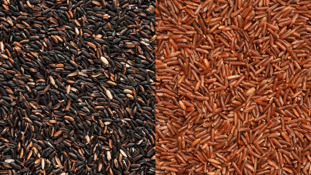 Black Rice vs Brown Rice